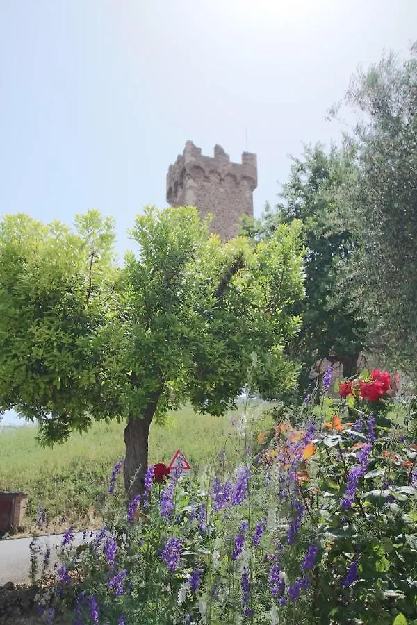 Casa Costa Delle Caserme Montalcino Italy